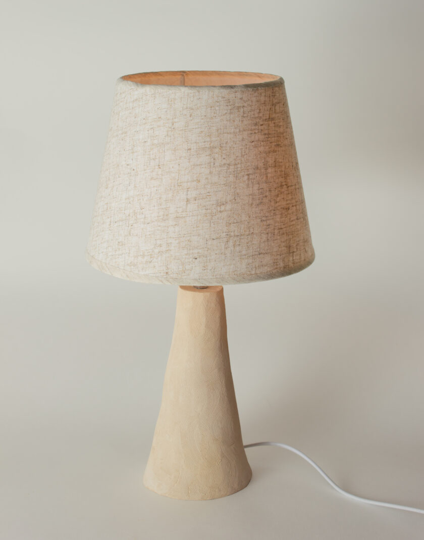 table lamp with lampshade, velvet texture